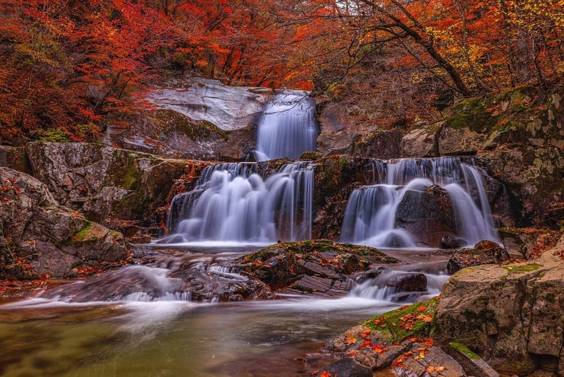 Hidden Waterfall Oasis